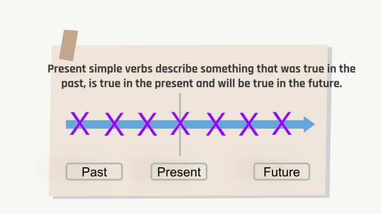Present Simple Tense 1