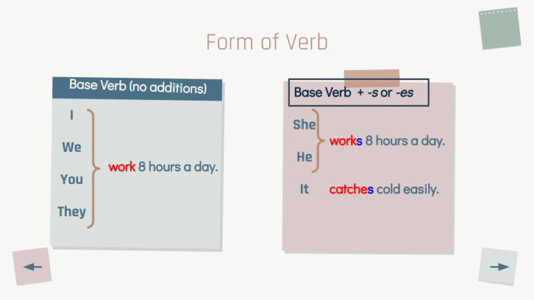 Present Simple Tense 2